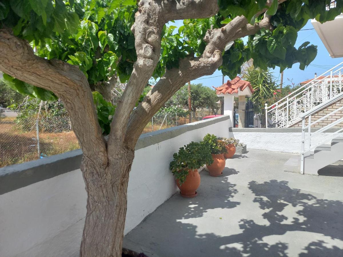 Mulberry House Guest house